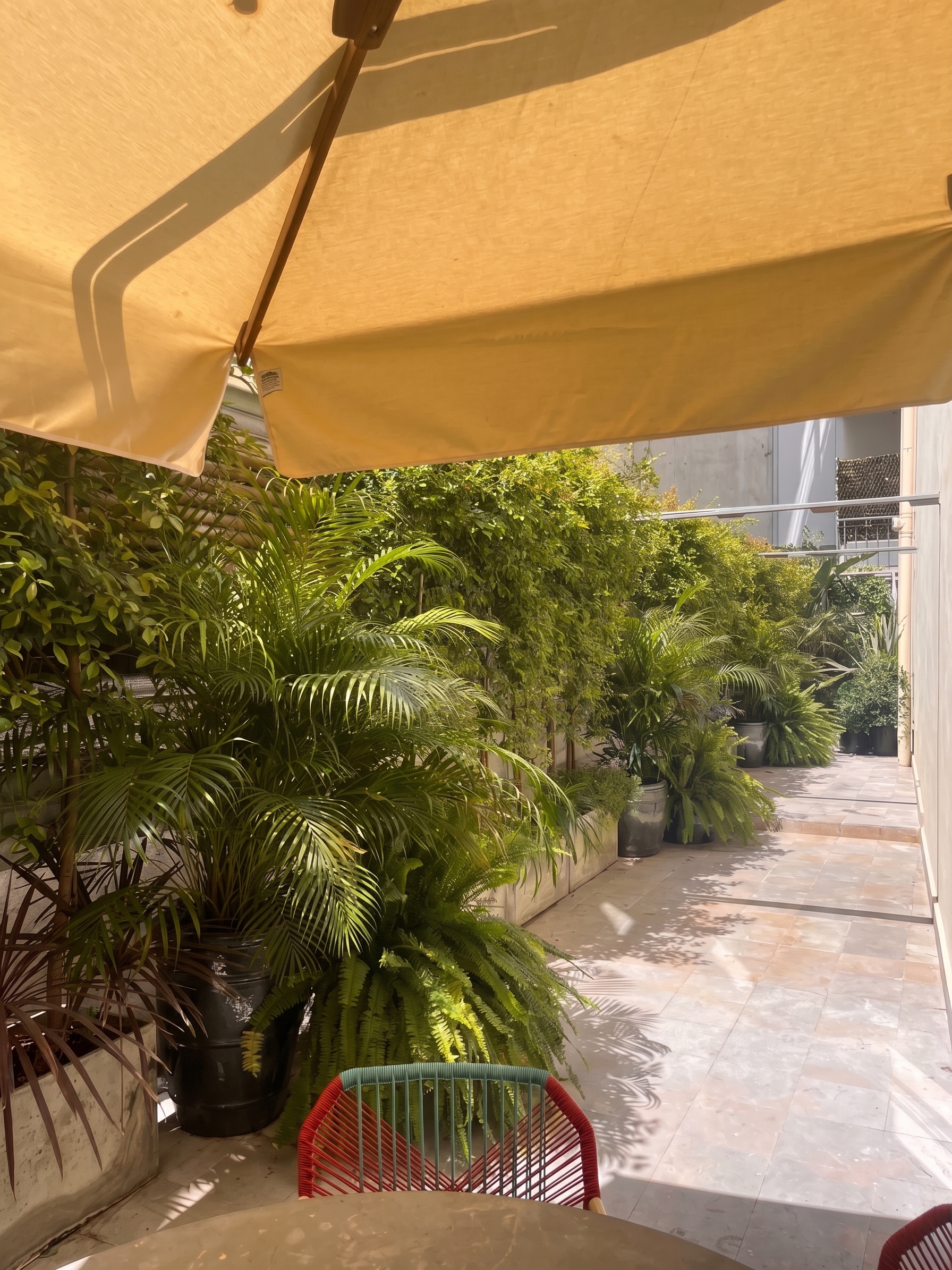 Terraço Privado Chiado